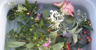 Como preparar a Água de São João