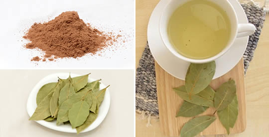 Como preparar infusão de louro para perder peso