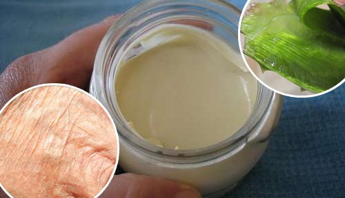 Como preparar um creme de aloe vera que elimina rugas, linhas de expressão e acne
