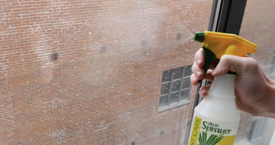 Como preparar um limpador de vidros natural e livre de tóxicos