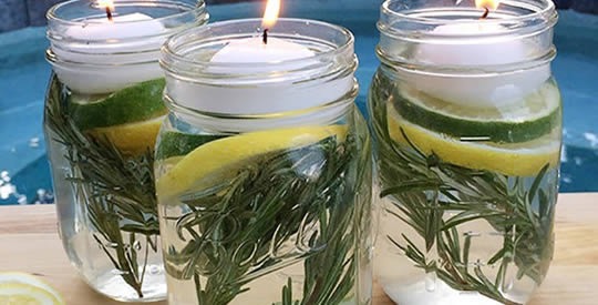 Como preparar um repelente natural eficaz contra insetos