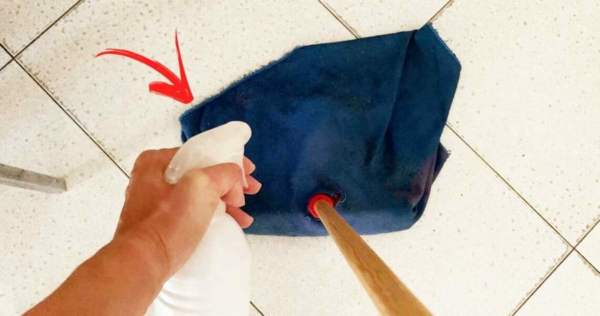 Como refrescar o solo no verão para deixar sua casa mais fresca?