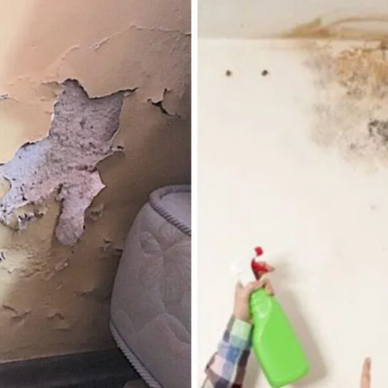 Como remover a umidade das paredes para que ela nunca mais volte