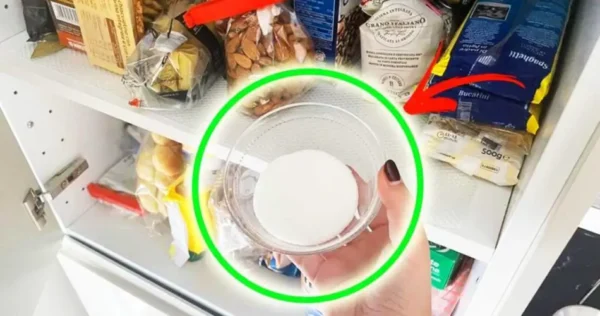 Como remover a umidade dos armários da cozinha com esses truques caseiros?