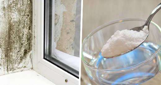 Como remover o mofo rapidamente, para sempre e naturalmente