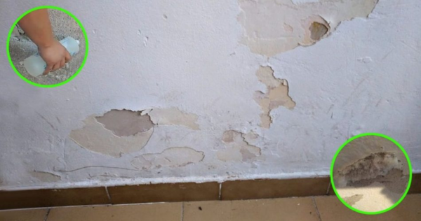 Como reparar uma parede danificada por salitre e mofo para sempre