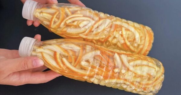 Como reutilizar cascas de frutas cítricas para decorar sua casa