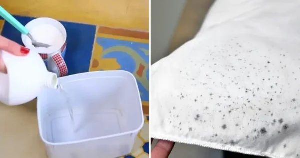 Como se livrar de manchas de mofo com maquiagem de açúcar