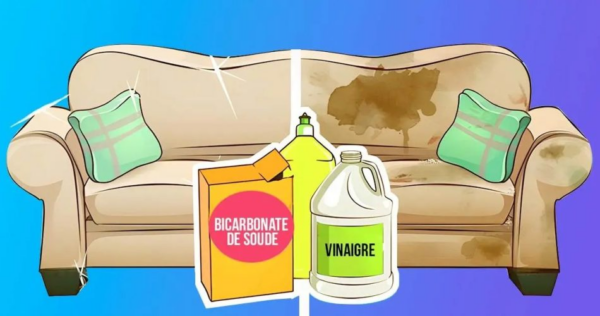 Como tirar manchas e eliminar ácaros de poltronas e sofás com ingredientes naturais?