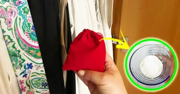 Como tirar o cheiro de umidade do guarda-roupa? então você também perfuma suas roupas