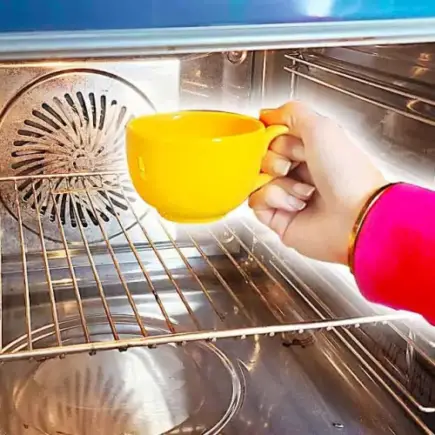 Como tirar sujeira do forno e micro-ondas com o truque da caneca?