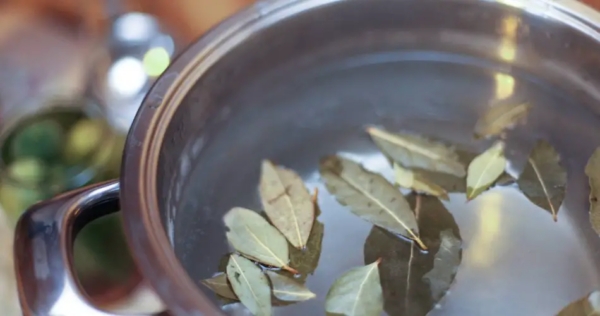 Como usar louro para perfumar sua casa