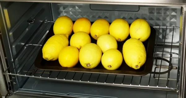 Como você conserva os limões por mais tempo para que não apodreçam? 4 truques simples