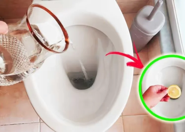 Como você perfuma seu banheiro despejando essas dicas naturais 4 + 1 no vaso sanitário?