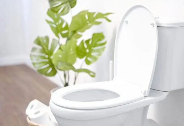 Como você remove efetivamente as bactérias do seu banheiro, especialmente do chuveiro e do vaso sanitário?