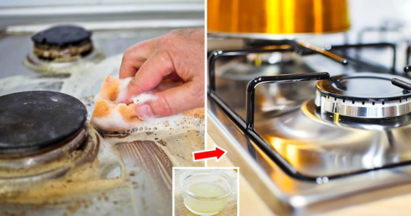 Cooktop impecável: remove sujeira e gordura incrustada em minutos e sem alvejante