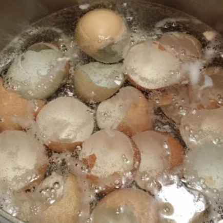 Cozinhar cascas de ovo em uma panela economizará muito dinheiro
