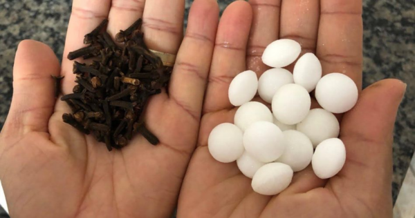 Cravo e naftalina, combine-os e curta o show: o que acontece