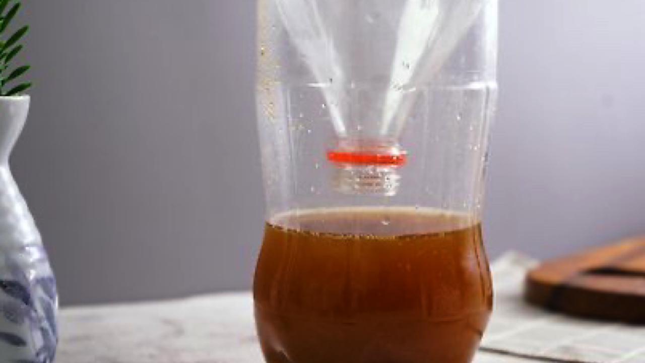 armadilha para mosquitos