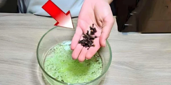 Crie este poderoso inseticida e moscas, formigas e outros insetos não poderão mais entrar em sua casa.