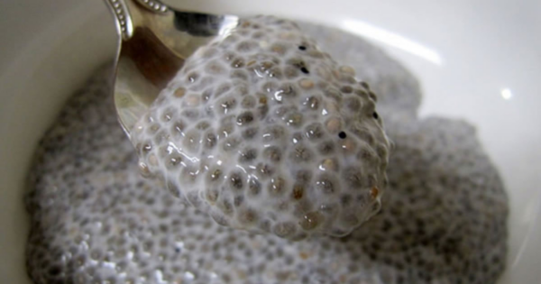 Depois de ler todos os benefícios das sementes de linhaça, você não vai querer mais ficar sem elas