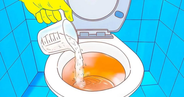 Derramar sabão em pó no vaso sanitário à noite – o truque genial que resolve um grande problema