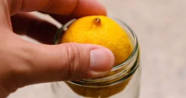 Descubra como armazenar limões | Sem moldá-los e com todo o seu aroma