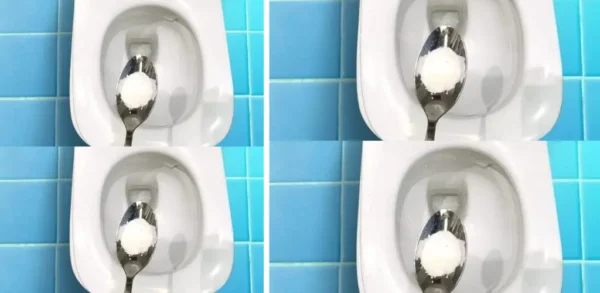 Despeje apenas uma pitada no vaso sanitário antes de ir para a cama e tudo estará brilhando pela manhã.