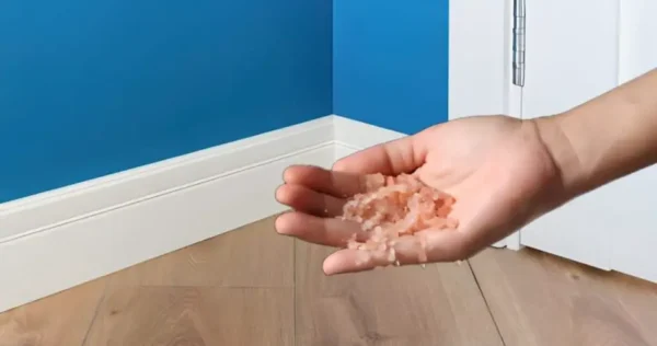 Despeje uma pitada de sal rosa nos cantos da casa: o que acontece é inesperado