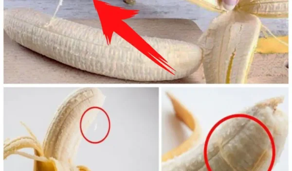 Desvendando os segredos dos fios de banana: benefícios nutricionais e para a saúde