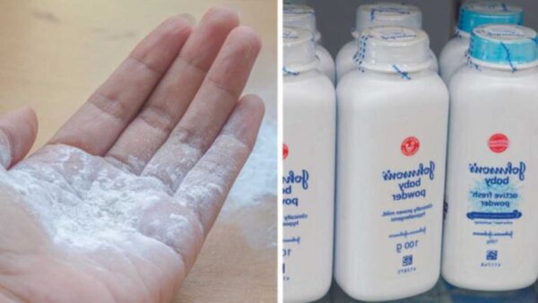 Dica de talco para o jardim: o que não te ensinaram na escola de jardinagem