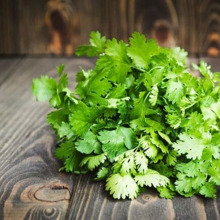 Dicas práticas para plantar coentro corretamente no seu jardim