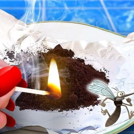 Diga adeus às baratas e moscas em casa graças a um truque inteligente