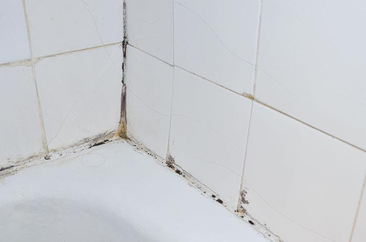Dissolva duas colheres de chá em água e esfregue os azulejos. Este produto de 5 centavos é um verdadeiro removedor de manchas de 2 corantes limpar azulejos do banheiro