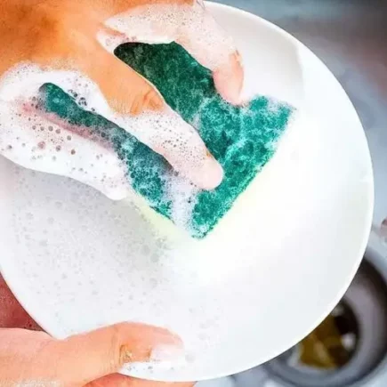 Donas de casa inteligentes nunca jogam fora esponjas de louça – eis o porquê