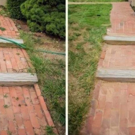 Eficaz e fácil de preparar: este herbicida faz desaparecer as ervas daninhas