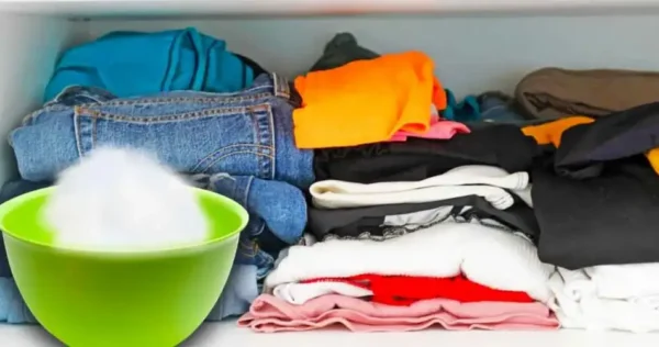 Elimine as traças dos seus guarda-roupas e perfume as suas roupas e a sua casa com este remédio natural