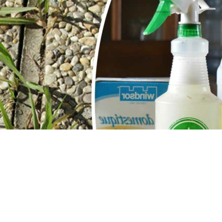 Elimine ervas daninhas com 7 herbicidas naturais.