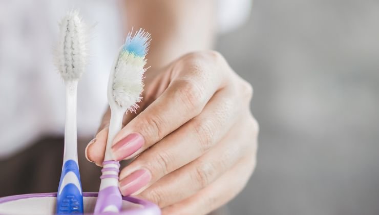 escova de dente escova de dente