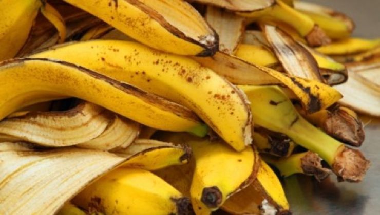 Casca de banana como fertilizante natural