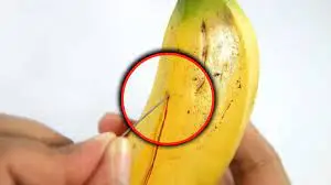 Enfie uma agulha em uma banana e veja o que acontece – é um truque e tanto!