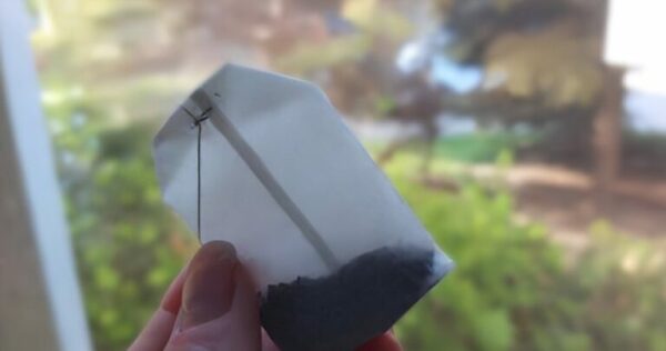 Esfregue um saquinho de chá na janela e veja você mesmo o que acontece