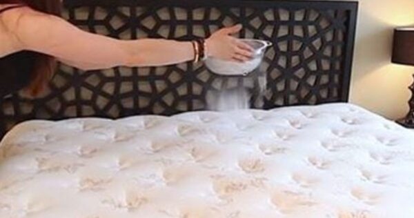 Espalhe este ingrediente no seu colchão e desinfete-o instantaneamente! Minha avó fazia isso!