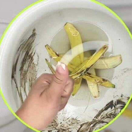 Esqueça o alvejante e jogue as cascas de banana no vaso sanitário! Ótimos resultados!