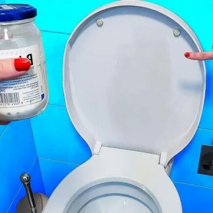 Essas áreas dos banheiros são criadouros de bactérias, mas ninguém as limpa