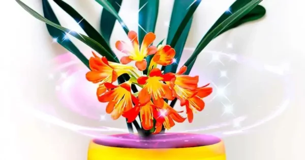 Esta planta é um ímã para a sorte: quando floresce, boas notícias chegam em casa