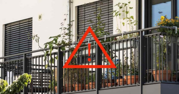 Estas 5 plantas espalhadas nas varandas são venenosas: quais erradicar