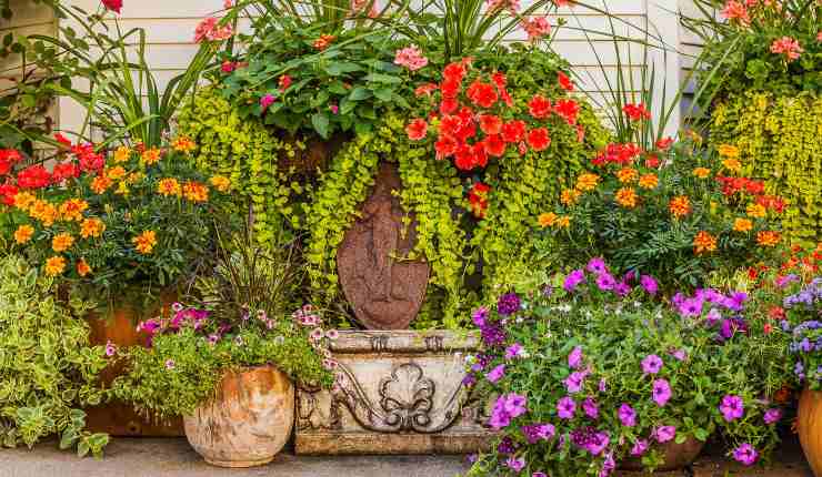 Jardim cheio de flores com este método