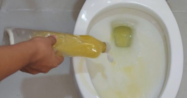 Este líquido remove incrustações, mofo e calcário dos vasos sanitários: utilizado para limpeza