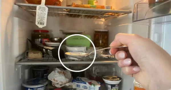 Este é o ingrediente que você deve espalhar na sua varanda para se livrar das formigas